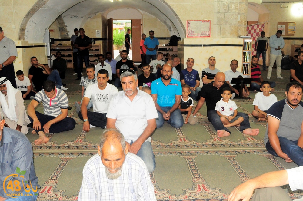 ada7a aiqe241 (25).JPG